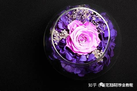 永生花风水|永生花（永不凋谢的鲜花）